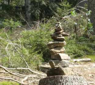 Wanderung zu wilden Bächen und hohen Wasserfällen