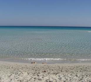 Glasklares flaches  Wasser