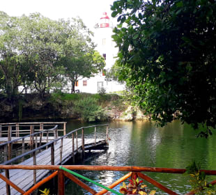 Mnarani Marine Schildkröten Conservation