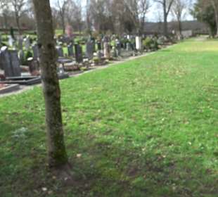 Friedhof Frickenhausen