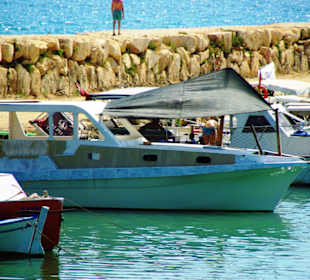 Die vielen Boote