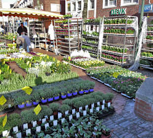 Rundgang über den Emder Wochenmarkt