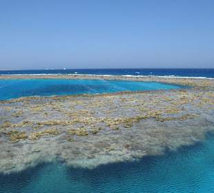 Safaga Tauch Tour (Extra Divers)