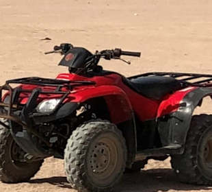 Quad zum Start bereit