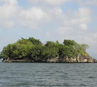 Naturpark Los Haitises - Kalksteinkegel (mogotes