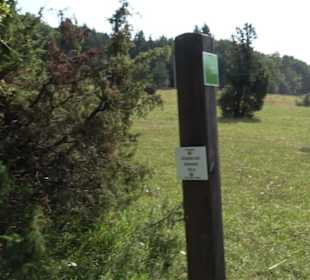 Premiumwanderweg "hochgesprudelt"