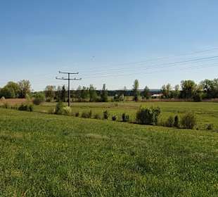 Die Landschaft am See