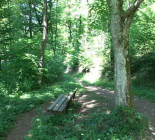 Wanderweg Sieben-Täler-Runde 