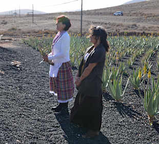 Landausflug Aloe Vera Workshop Fuerteventura