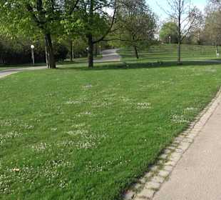 Unterer Schlossgarten Stuttgart