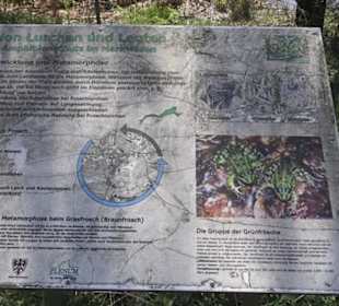 Sport- und Freizeitpark Markwasen