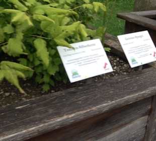 Andechser Kräutergarten