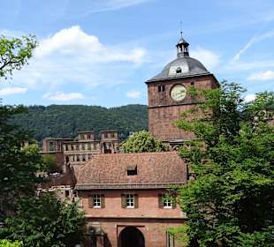 Schloss Heidelberg und Park