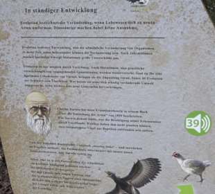 Dinosaurier Museum Altmühltal