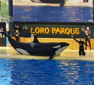 Loro Park