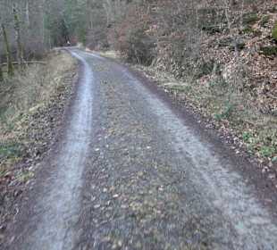 Wanderung rund um den Ochsenweiher