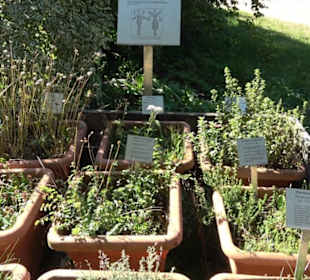 Klosterkirche Maria Gnadenzell
