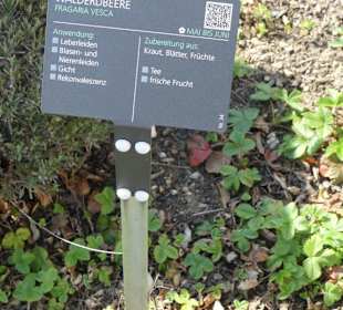 Erläuterungen der Kräuter