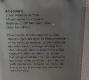 Naturkundemuseum