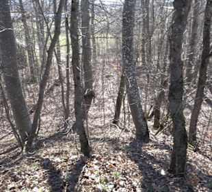 Ödenburg Oberstetten