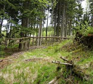 Karkonoski Park Narodowy