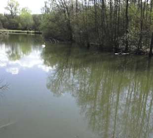 Schlattwiesensee