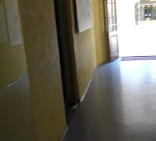 Naturhistorisches Museum