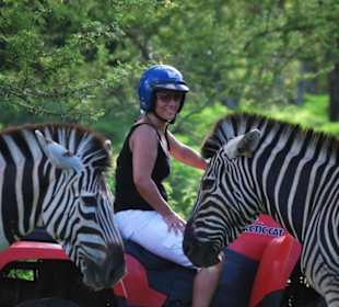 Casela Nature & Leisure Park - Quad Tour