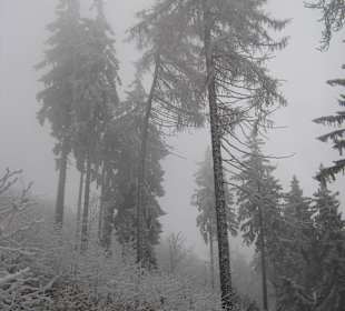 W drodzę na Ślężę