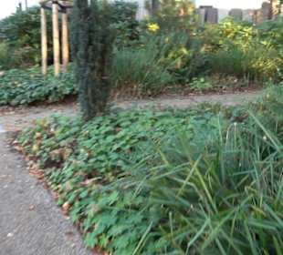 Klostergarten Lenzfried