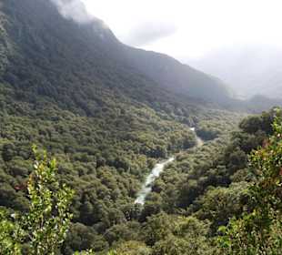 Фьорд Милфорд Саунд.