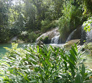 El Nicho