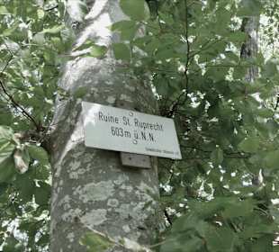 Ruine St. Ruprecht