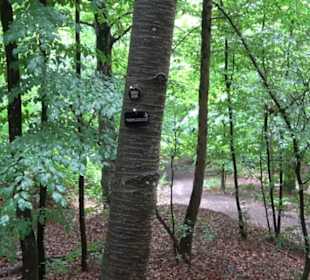 FriedWald Schönbuch