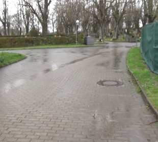Hauptfriedhof Konstanz