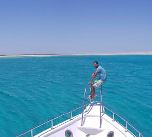 Delphin Tour Hurghada