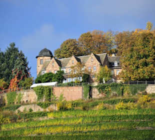 Kropsburg