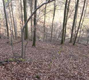 Wolfsschlucht