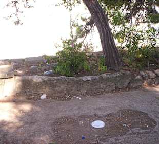 Rhodos Stadtpark verdreckt.