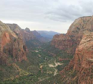 Ausblick von "Angels Landing"