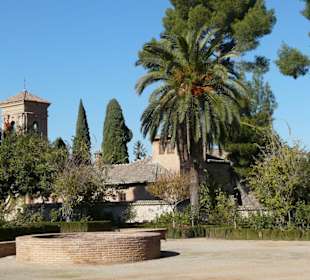 Dettaglio del giardino