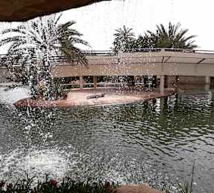 Krokodilfarm Animalia