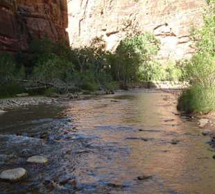 Parco nazionale Zion