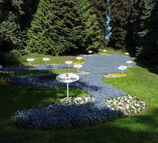 Осторов майнау