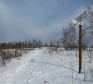 Eggegebirge bei Sandebeck