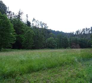 Kirnitzschtal