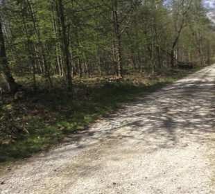 Waldsportpfad im Wasenwald