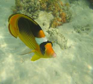 Ohne Worte, einfach nur schön