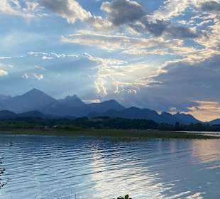 Forggensee