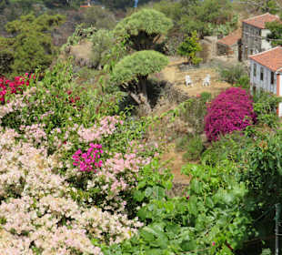 Inselrundfahrt La Palma